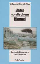 Unter nordischem Himmel