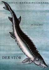 Der Stör