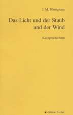 Das Licht und der Staub und der Wind