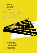 Perspektiven auf die Türkei - Ökonomische und gesellschaftliche (Dis)Kontinuitäten im Kontext der Europäisierung