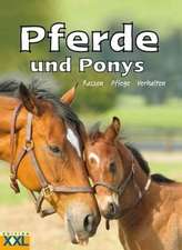 Pferde und Ponys