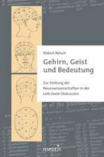 Gehirn, Geist und Bedeutung