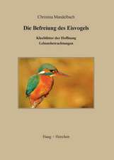 Die Befreiung des Eisvogels