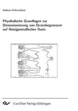 Physikalische Grundlagen zur dimensionierung von Strombegrenzern auf flüssigmetallischer Basis