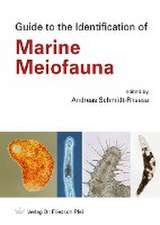 Guide to the Identification of Marine Meiofauna