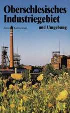 Oberschlesisches Industriegebiet und Umgebung