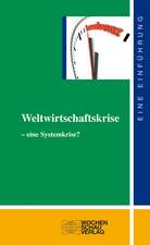 Weltwirtschaftskrise - eine Systemkrise?