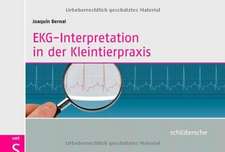 EKG-Interpretation in der Kleintierpraxis