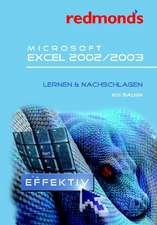 Microsoft Excel 2002/2003