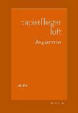 papierflieger luft