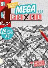 Mega-Pixel 01