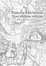 Rätische Alpenpässe - Vias alpinas reticas