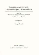 Indogermanische Und Allgemeine Sprachwissenschaft