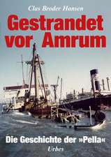 Gestrandet vor Amrum