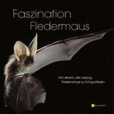 Faszination Fledermaus