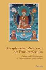 Spirituellen Meister aus der Ferne herbeirufen