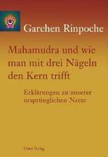 Garchen Rinpoche: Mahamudra u. wie man mit drei Nägeln