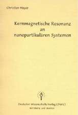 Kernmagnetische Resonanz an nanopartikulären Systemen