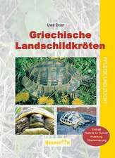 Griechische Landschildkröten