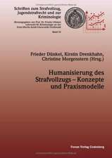 Humanisierung des Strafvollzugs - Konzepte und Praxismodelle