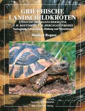 Griechische Landschildkröten