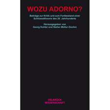 Wozu Adorno?