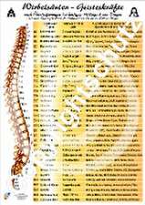 Wirbelsäulen-Geisteskräfte Übersichtskarte DIN A4