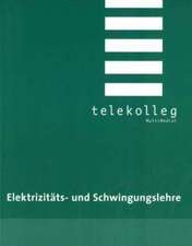 Elektrizitäts- und Schwingungslehre