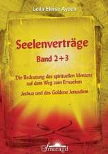 Seelenverträge Band 2 & 3