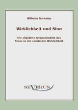 Wirklichkeit Und Sinn: An Evolutionary Journey