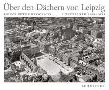 Über den Dächern von Leipzig