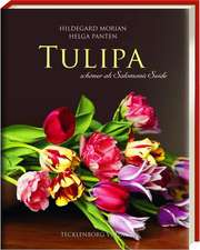 Tulipa