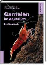 Garnelen im Aquarium