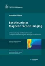 Traulsen, N: Beschleunigtes Magnetic Particle Imaging