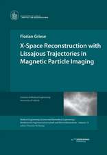 Griese, F: X-Space Reconstruction with Lissajous Trajectorie