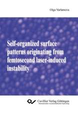 Self-organized surface patterns originating from femtosecond laser-induced instability