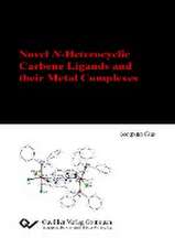 Novel N-Heterocyclic Carbene Ligands and their Metal Complexes