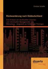 R Ckwanderung Nach Ostdeutschland: Eine Analyse Von Strukturellen Ursachen Und Individuellen Beweggr Nden Auf Mikroebene - Dargestellt Am Fallbeispiel