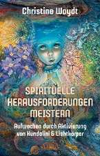 SPIRITUELLE HERAUSFORDERUNGEN MEISTERN