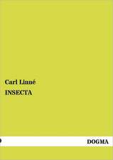 INSECTA