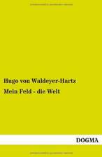 Mein Feld - die Welt