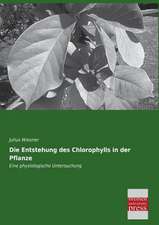 Die Entstehung des Chlorophylls in der Pflanze