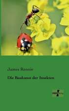 Die Baukunst der Insekten