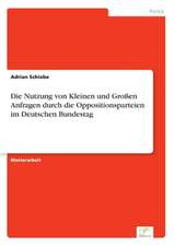 Die Nutzung von Kleinen und Großen Anfragen durch die Oppositionsparteien im Deutschen Bundestag