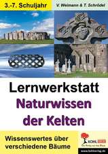 Lernwerkstatt Naturwissen Kelten