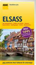 ADAC Reiseführer plus Elsass