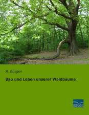 Bau und Leben unserer Waldbäume