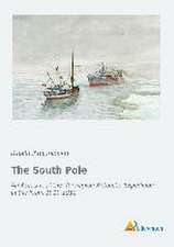 The South Pole