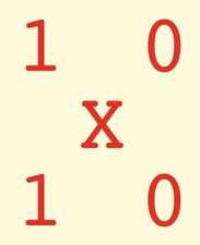 10 x 10