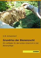 Grundriss der Bienenzucht